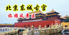 国产干逼逼中国北京-东城古宫旅游风景区